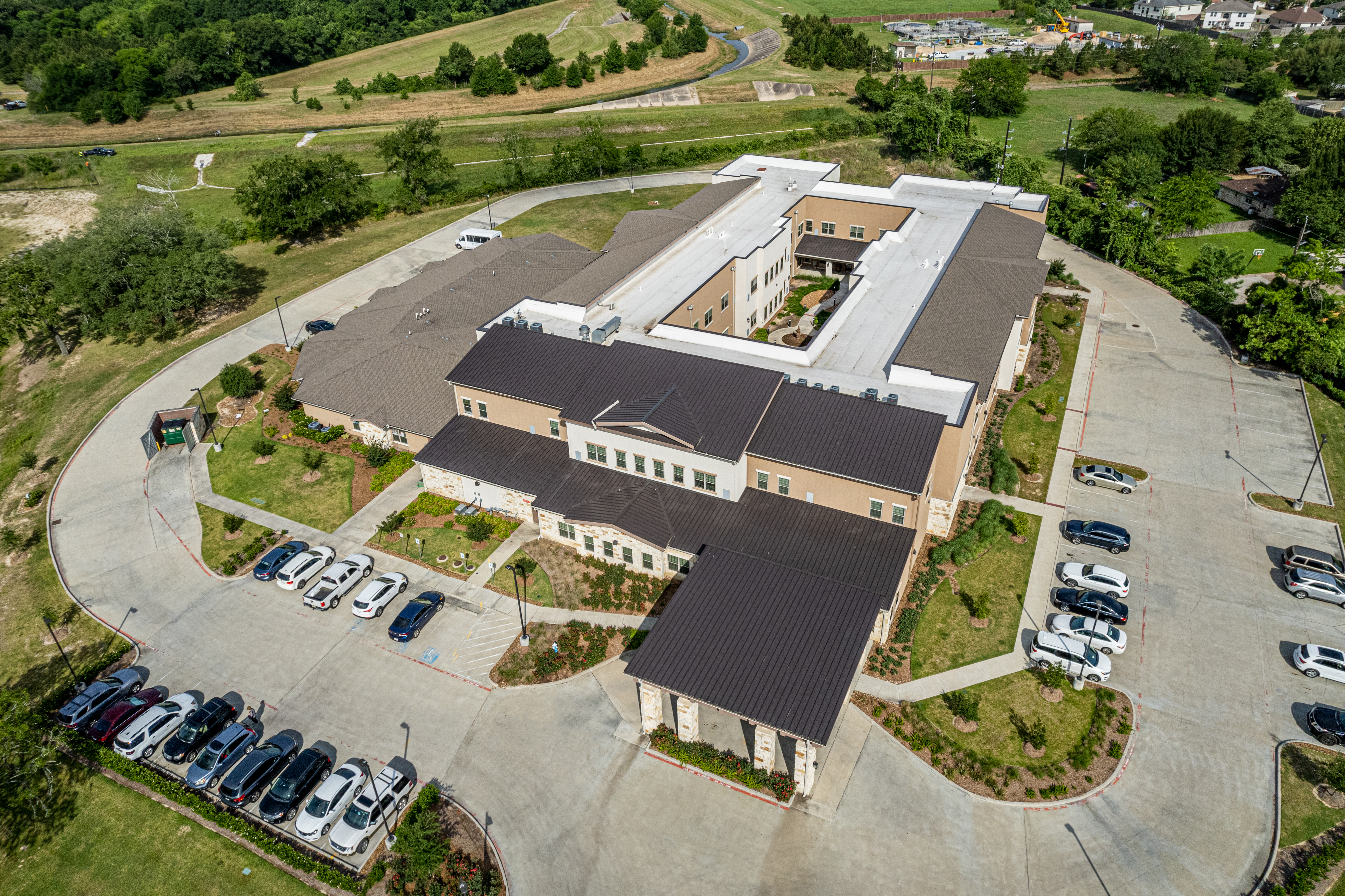 Spring Cypress Featured Image